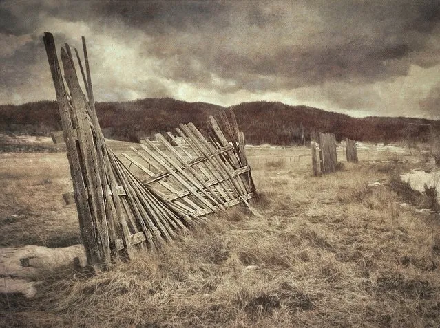 “Snow Fence”. (Photo by ShaneMartinArt)