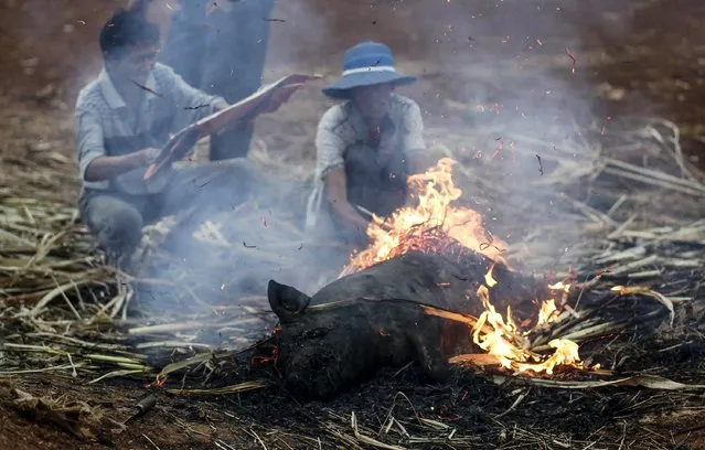 People burn a slaughtered pig at Myanmar's border town with China, in Kokang March 24, 2015. (Photo by Wong Campion/Reuters)