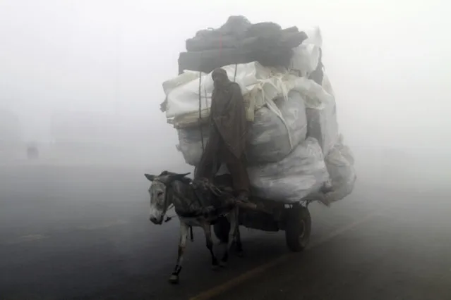 A man carries recyclable material on his donkey cart along a foggy road, in Lahore, Pakistan, Thursday, December 8, 2016. Various cities in eastern Pakistan continue to experience heavy fog, disrupting air and road transportation. (Photo by K.M. Chaudary/AP Photo)