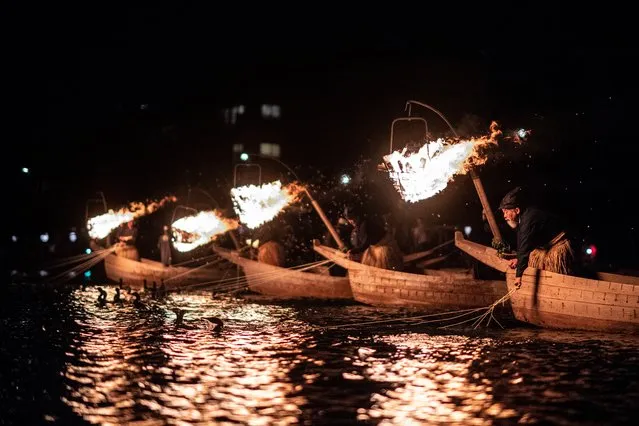 In this photo taken on October 11, 2018, cormorant masters use their birds to catch sweetfish in Gifu. “Uka”, the profession of cormorant fishermen, was once a staple of waterside villages and towns throughout Japan and other parts of the world. But it has been on the gradual decline for centuries, and now lives on in Japan as a tourist attraction and a carefully protected part of the country's national heritage. (Photo by Martin Bureau/AFP Photo)