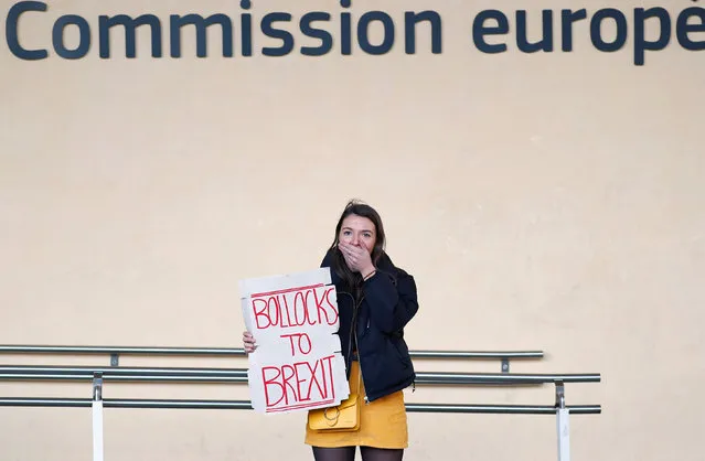 A British protester holds a sign ahead of a meeting between Sinn Fein leaders and European Union Chief Brexit Negotiator Michel Barnier at the E.U. Commission headquarters in Brussels, Belgium, January 9, 2019. (Photo by Francois Lenoir/Reuters)