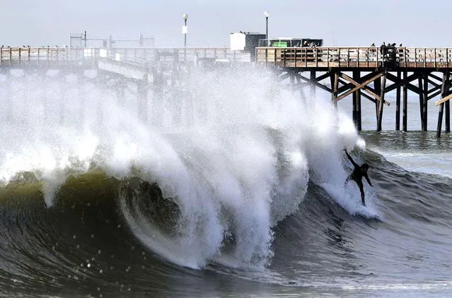 Surfers and body boarders ride waves on the south side of the Seal Beach Pier after a series of powerful winter storms in Seal Beach, Calif., Tuesday, January 24, 2017. (Photo by Jeff Gritchen/The Orange County Register via AP Photo)