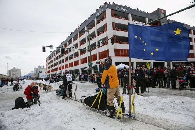 Miriam Osredkar's team leaves the ceremonial start of the Iditarod Trail Sled Dog Race to begin the near 1,000-mile (1,600-km) journey through Alaska’s frigid wilderness in downtown Anchorage, Alaska March 5, 2016. (Photo by Nathaniel Wilder/Reuters)
