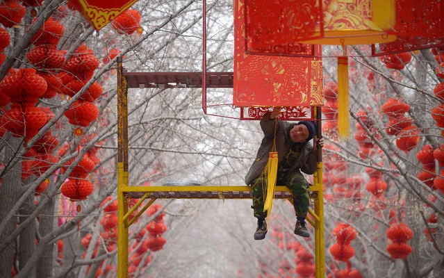 A Chinese worker hangs a lantern for the upcoming Lunar New Year at a park in Beijing on January 24, 2014. China is preparing to welcome the Lunar New Year of the Horse which falls on January 31. (Photo by Wang Zhao/AFP Photo)