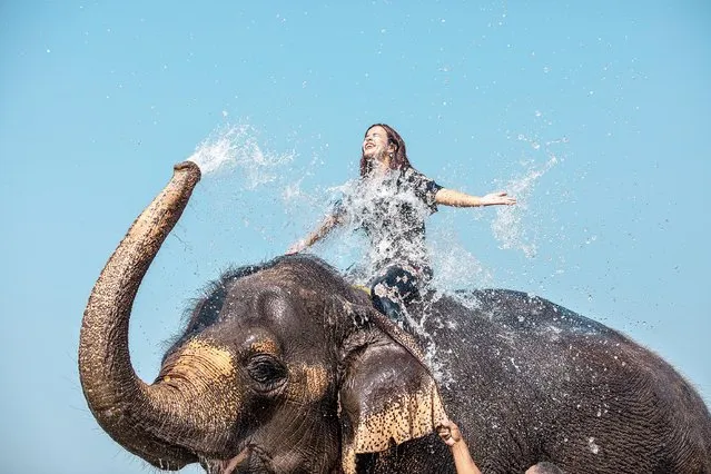 A young girl is splashed as she takes an elephant bath at Rapti river in Chitwan, Nepal, 30 October 2021. Chitwan is one of the major tourist destinations in Nepal and popular zone for wild life sightseeing in Chitwan National Park. (Photo by Narendra Shrestha/EPA/EFE)