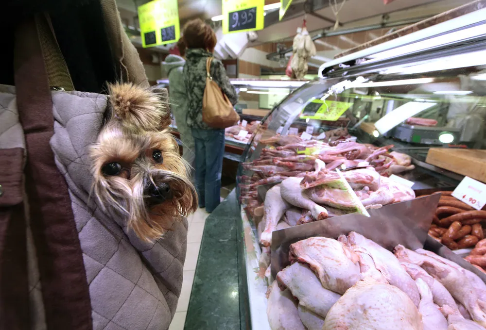 The Day in Photos – April 1, 2016