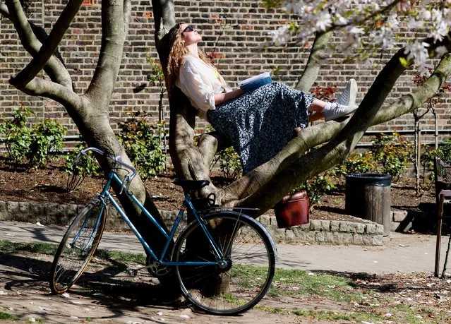 21 year old Amalia Maiden relaxes in the boughs of a tree in Holland Park in London, United Kingdom on Sunday, April 4, 2021. (Photo by Jonathan Brady/PA Images via Getty Images)