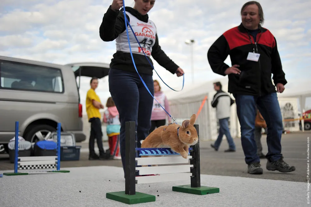 First European Rabbit Hopping Championships