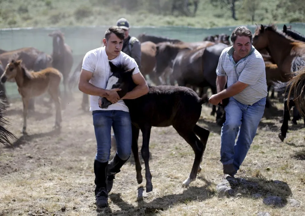 The Day in Photos – July 3, 2015