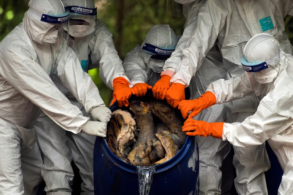 A Look at Life in Thailand