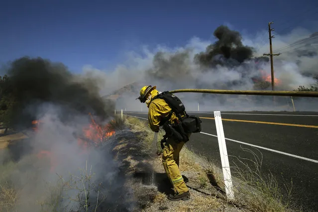 A firefighter carries a water hose to put out a wildfire burning along Highway 178 near Lake Isabella, Calif., Friday, June 24, 2016. (Photo by Jae C. Hong/AP Photo)