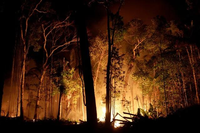 A fire burns a tract of Amazon jungle as it is cleared by loggers and farmers near Porto Velho, Brazil on August 31, 2019. (Photo by Ricardo Moraes/Reuters)