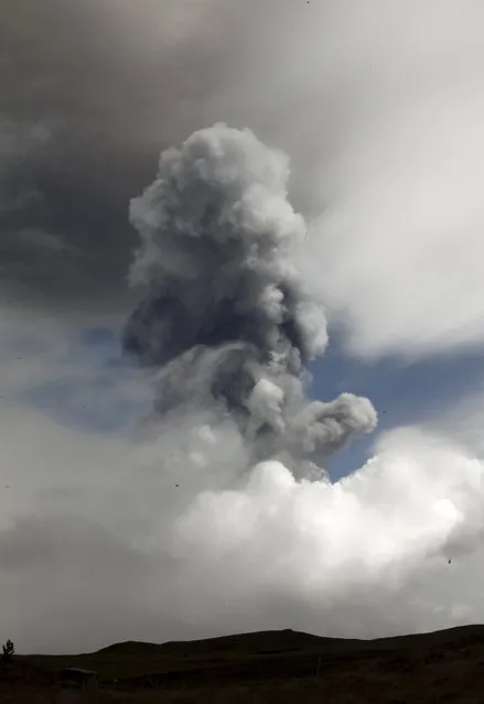The Cotopaxi volcano spews ash and smoke in Machachi, Ecuador, August 14, 2015. Ecuador's massive Cotopaxi volcano stirred in the early hours of Friday, with two small explosions reported and ash raining down on the southern part of nearby highland capital Quito. Authorities stressed that the explosions and a five-kilometer (3 mile) high plume of ash do not signify that the Andean country's highest active volcano, which has been showing signs of activity since April, is about to erupt. (Photo by Guillermo Granja/Reuters)