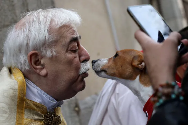 A priest whispers to a dog after blessing it on the day of Spain's patron saint of animals, Saint Anthony, outside San Anton Church in Madrid, Spain, January 17, 2020. (Photo by Susana Vera/Reuters)