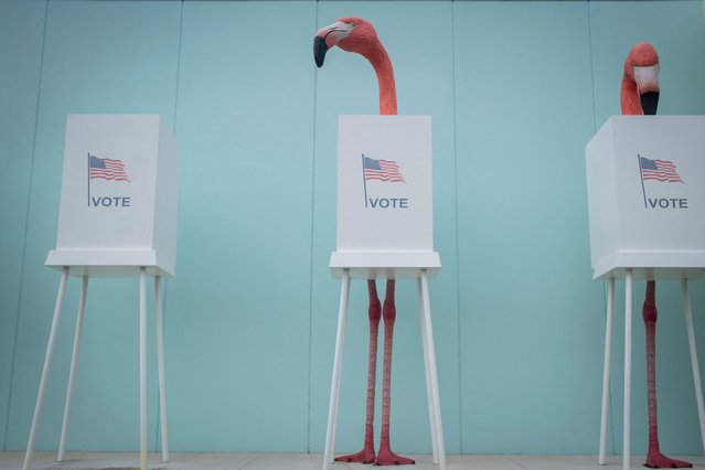 Dummy flamingos are seen outside the Palm Beach County Supervisor of Elections on Election Day  in West Palm Beach, Florida on November 5, 2024. (Photo by Marco Bello/Reuters)