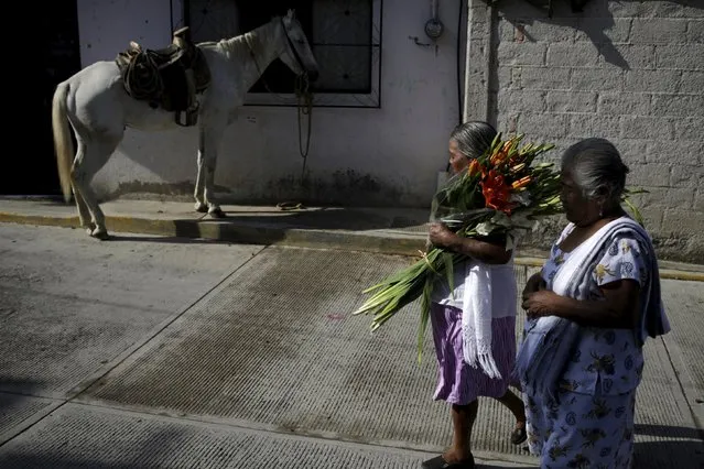 A woman carries a bouquet of flowers as she passes in front of a horse in a street of El Fortin neighborhood in Tixtla, in the state of Guerrero, August 16, 2015. (Photo by Jorge Dan Lopez/Reuters)