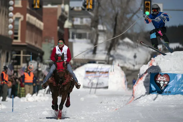 Rider Kelley McComb races down Harrison Avenue while skier Shaun Gerber airs out off the first jump of the Leadville ski joring course during the 72nd annual Leadville Ski Joring weekend competition on March 7, 2020 in Leadville, Colorado. Skijoring, which has its origins as a competitive sport in Scandinavia, has been adapted over the years to include a team made up of a rider and skier who must navigate jumps, slalom gates, and the spearing of rings for points. Leadville, with an elevation of 10,152 feet (3,094 m), the highest incorporated city in North America, has been hosting skijoring competitions since 1949. (Photo by Jason Connolly/AFP Photo)