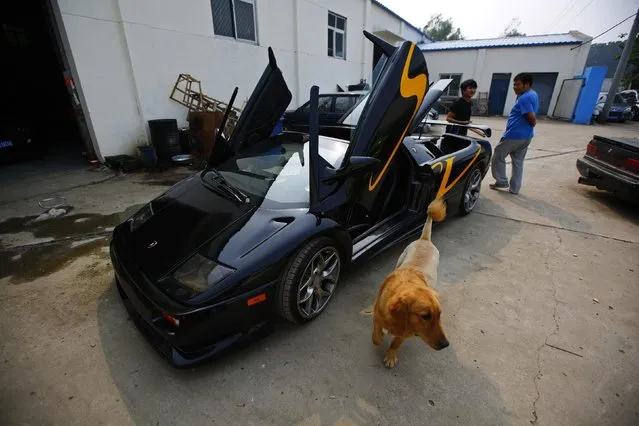 A dog walks past a handmade replica of Lamborghini Diablo outside a garage rented by Wang Yu and Li Lintao on the outskirts of Beijing, August 21, 2014. (Photo by Petar Kujundzic/Reuters)