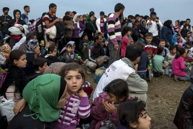 Migrants from Syria wait for a bus after crossing into Hungary from the border with Serbia on a field near the village of Roszke, September 5, 2015. (Photo by Marko Djurica/Reuters)
