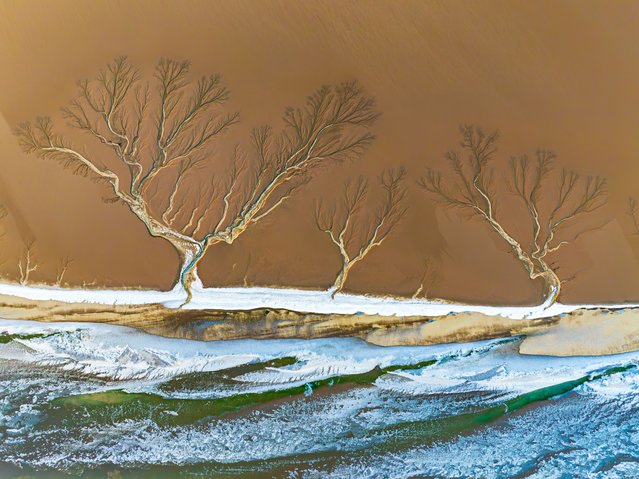 Aerial view of the giant tree-shaped patterns on the frozen Qiantang River during sunrise after the tide receding on February 9, 2025 in Hangzhou, Zhejiang Province of China. Amid a continuing cold wave, the natural formation of forest patterns appeared on the frozen mud flats, also known as “tidal trees”. (Photo by VCG/VCG via Getty Images)