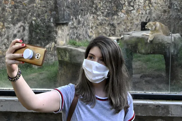 A woman wearing a face mask as a preventive measure against the spread of the novel coronavirus, COVID-19, takes a selfie at the zoo in Cali, Colombia, on June 21, 2020. The Cali zoo reopened its doors to the public after being closed for 3 months due to the novel coronavirus COVID-19 pandemic, limiting the entry of people to 35% of its capacity and the mandatory use of facemasks. (Photo by Luis Robayo/AFP Photo)