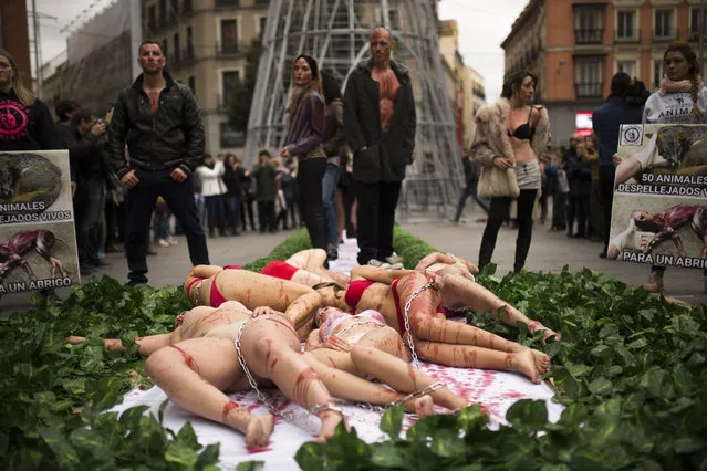 Animal rights activist, stained with fake blood, perform during a protest against the use of animal skins in the clothes and fashion industry, in Madrid, Sunday, December 10, 2017. Boards at both sides read in Spanish: “50 animals skinned alive to make a coat”. (Photo by Francisco Seco/AP Photo)