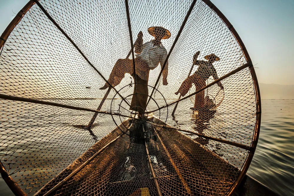 2014 National Geographic Photo Contest, Week 7