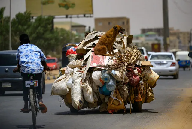 A young Sudanese boy rides his bicycle past a vehicle transporting domestic garbage, in the capital Khartoum, on April 9, 2020. (Photo by Ashraf Shazly/AFP Photo)
