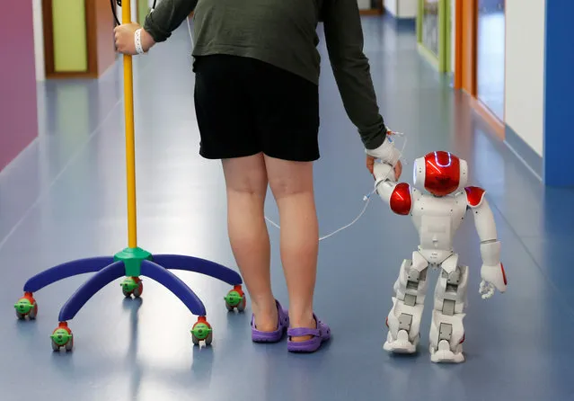 Belgian Ian Frejean, 11, walks with “Zora” the robot, a humanoid robot designed to entertain patients and to support care providers, at AZ Damiaan hospital in Ostend, Belgium June 16, 2016. (Photo by Francois Lenoir/Reuters)