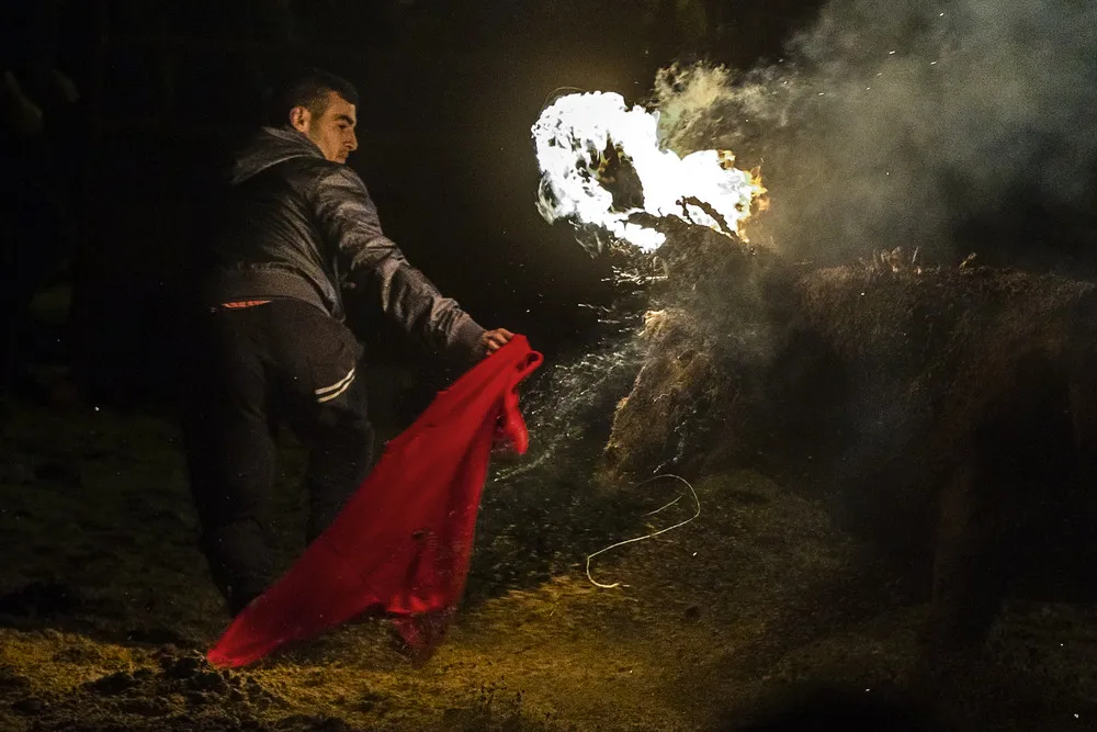 The Week in Pictures: November 15 – November 22, 2014. Part 6/6