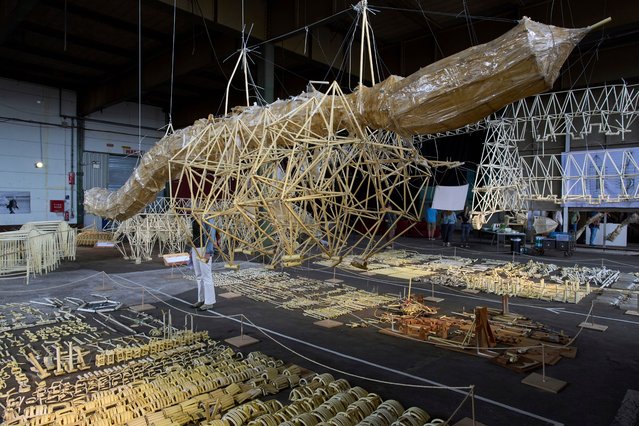 Dutch artist Theo Jansen's “strandbeesten” or Beach Beasts, wind-powered creatures made from yellow plastic tubes, are displayed during an exhibit in Delft, Netherlands, Thursday, June 5, 2025. (Photo by Peter Dejong/AP Photo)