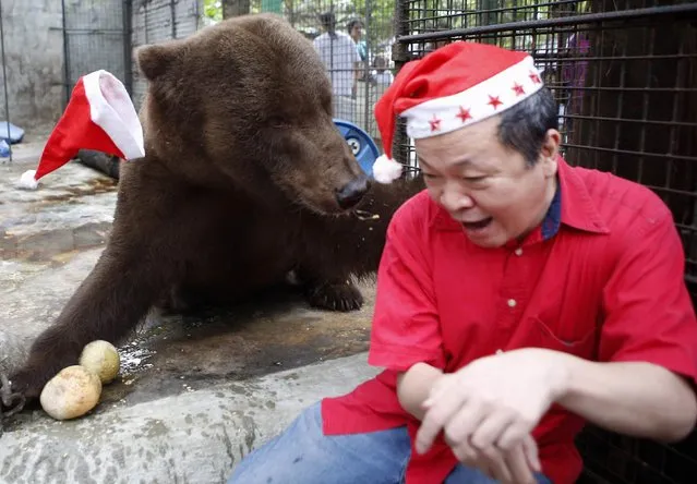 A Christmas hat falls from the head of a grizzly bear as it scratches the back of zoo owner Manny Tangco during the Animal Christmas party at Malabon Zoo in Manila December 18, 2014. (Photo by Erik De Castro/Reuters)