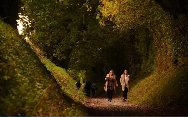 People out on walks taking in the autumn colour as they walked through a tunnel of trees at Halnaker near Chichester, West Sussex, United Kingdom on October 18, 2020. (Photo by Simon Czapp/Solent News)