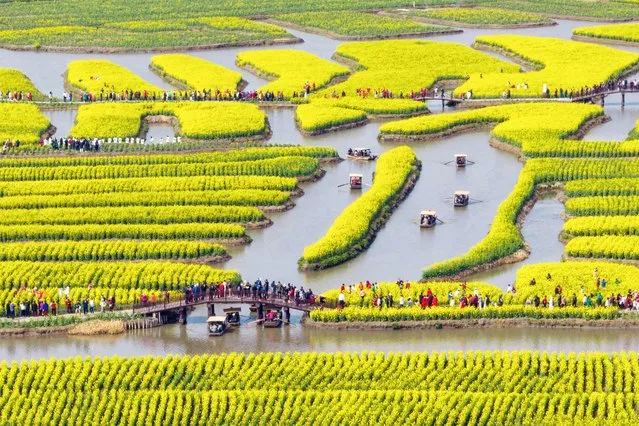 This photo taken on March 19, 2023 shows people watching blossoming rapeseed flowers at Xinghua Qianduo scenic area in Taizhou, in China's eastern Jiangsu province. (Photo by AFP Photo/China Stringer Network)