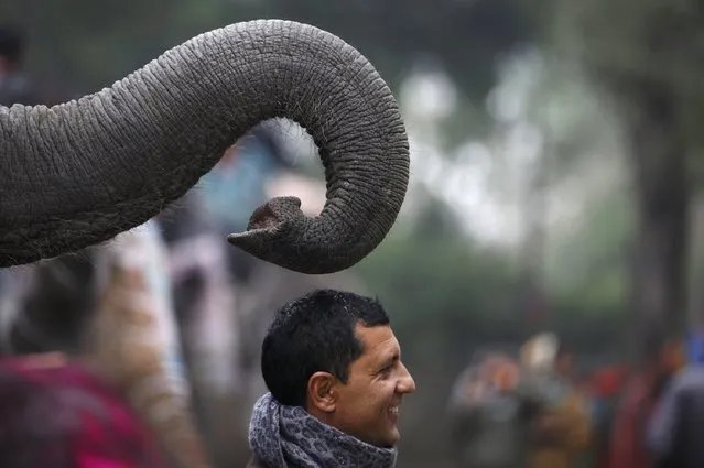 A man pose for a picture in front of an elephant during a parade marking an Elephant Festival event at Sauraha in Chitwan, about 170 km (106 miles) south of Kathmandu December 26, 2014. (Photo by Navesh Chitrakar/Reuters)