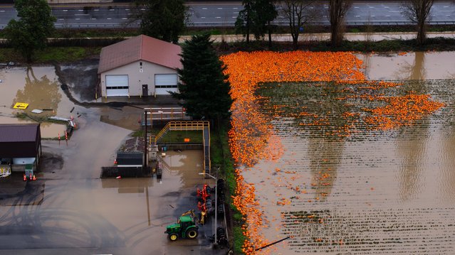Farms are flooded between Auburn and Kent, Wash., Tuesday, December 16, 2025. (Photo by Erika Schultz/The Seattle Times via AP Photp)
