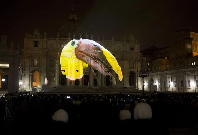 People gather to watch images projected on the facade of St. Peter's Basilica, at the Vatican, Tuesday, December 8, 2015. The Vatican is lending itself to environmentalism with a special public art installation timed to coincide with the final stretch of climate negotiations in Paris. (Photo by Riccardo De Luca/AP Photo)