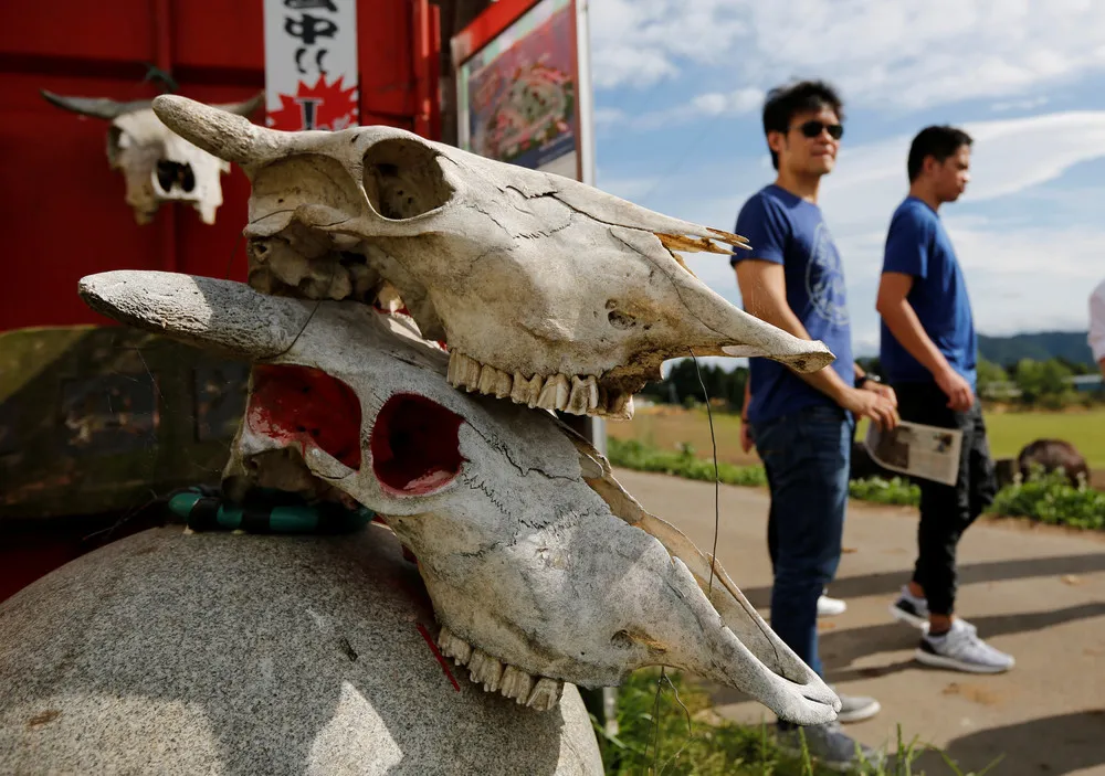 A Look at Life in Japan