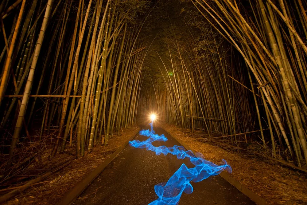 Light Painting by Trevor Williams 