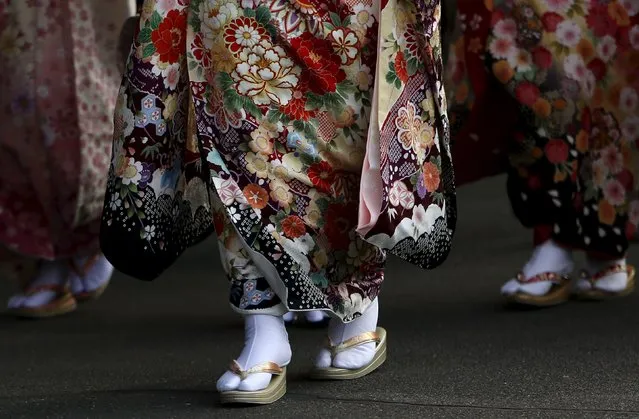 Japanese women wearing kimonos walk before their Coming of Age Day celebration ceremony at an amusement park in Tokyo January 11, 2016. (Photo by Yuya Shino/Reuters)