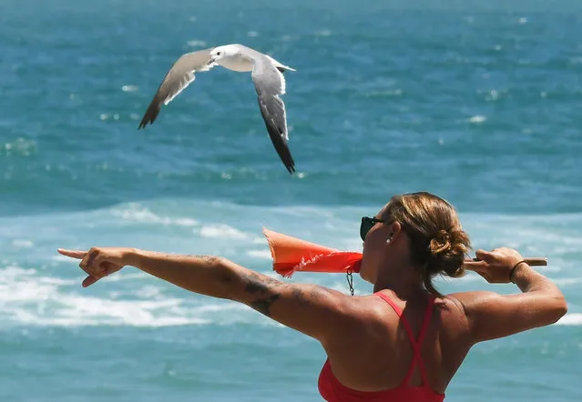 A lifeguard warns swimmers as a sea gull flies by on Labor Day at Daytona Beach in Florida on September 4, 2023. (Photo by Paul Hennessy/SOPA Images/LightRocket via Getty Images)