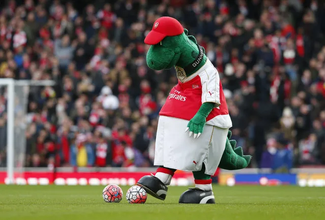 Football Soccer, Arsenal vs Burnley, FA Cup Fourth Round, Emirates Stadium on January 30, 2016: Arsenal mascot before the game. (Photo by Eddie Keogh/Reuters/Livepic)