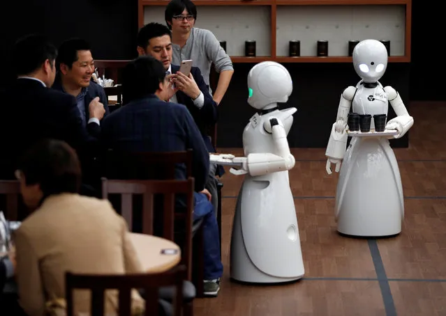 Remotely controlled robots OriHime-D, developed by Ory Lab Inc. to promote employment of disabled people, serve customers at a cafe in Tokyo, Japan on November 26, 2018. (Photo by Issei Kato/Reuters)
