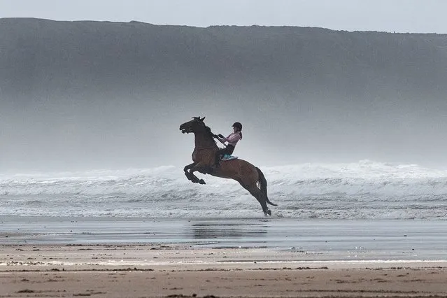 A rider held on as her horse objected to rough seas in Rhossili Bay, west Wales on August 7, 2021. (Photo by Joshua Bratt/The Sun)