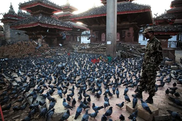 A Nepalese soldier stands next to damaged buildings in Durbar Square, a UNESCO world heritage site that was badly damaged by the earthquake, in Kathmandu on May 3, 2015, following a 7.8 magnitude earthquake which struck the Himalayan nation on April 25. (Photo by Menahem Kahana/AFP Photo)