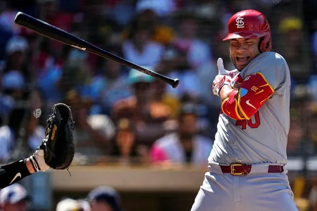 St. Louis Cardinals designated hitter Willson Contreras (40) reacts after being hit by a pitch during the sixth inning against the San Diego Padres at Petco Park in San Diego, California on April 3, 2024. (Photo by Ray Acevedo/USA TODAY Sports)
