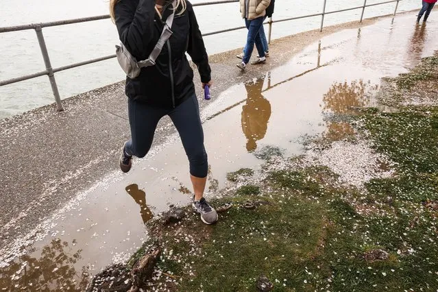 People walk along the Tidal Basin in Washington, DC after a heavy rainfall as the District’s Cherry Blossoms are in peak bloom on March 23, 2024. (Photo by Valerie Plesch for The Washington Post)