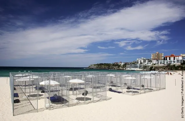 Bondi Beach Art Installation By Gregor Schneider