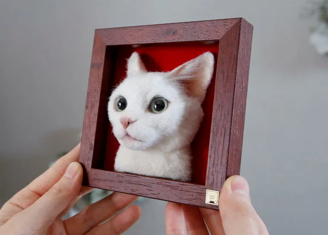 Japanese artist Sachi shows off her creation of a realistic 3D cat portrait, made by using felted wool, at her house in Sagamihara, Japan, January 21, 2022. (Photo by Akira Tomoshige/Reuters)