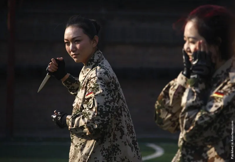 Chinese Female Bodyguard. Part I
